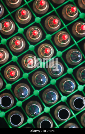 .223 Hohlspitze & ballistische Spitze Munition Stockfoto