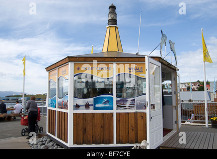 Whale watching Zentrum, Husavik, Island Stockfoto