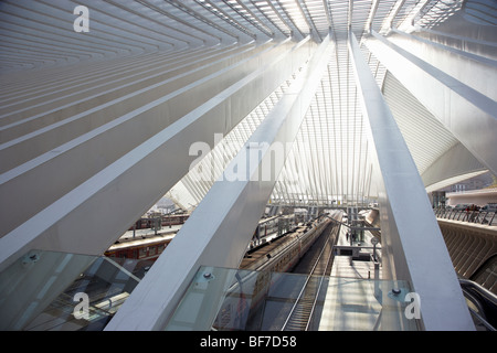 Gare de Liège-Guillemins von Stararchitekten Santiago Calatrava Stockfoto