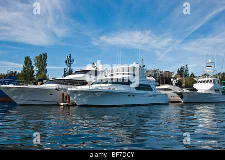 Teure Luxus-Motoryachten von den Docks in Lake Union, Seattle, Washington USA angedockt. Stockfoto