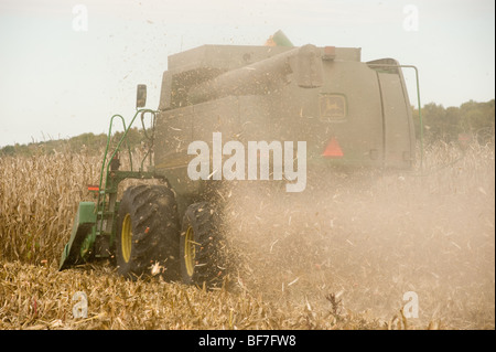 Kombinieren Sie Ernte Mais Stockfoto