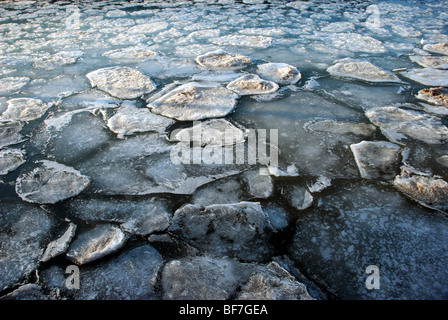 Eis-Drifts auf dem Lake Michigan in der Nähe von Evanston, Illinois Stockfoto