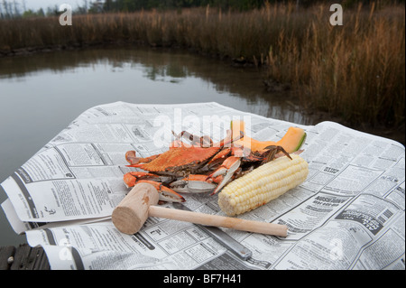 Gedämpfte Krabben, Chesapeake Bay Maryland Stockfoto