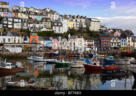 Hafen von Brixham Devon Stockfoto