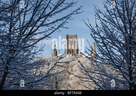 Durham Cathedral durch Schnee gesehen fallen Bäume im Winter, England, Großbritannien Stockfoto