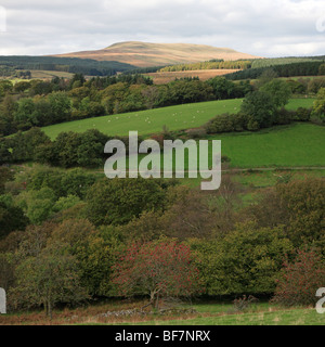 Fan-Nedd, Brecon Beacons, Wales, UK Stockfoto