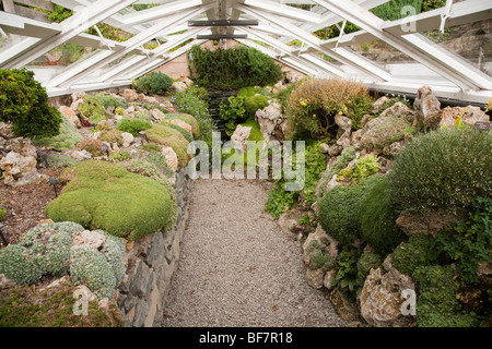 Holehird Gärten, Heimat der Lakeland Horticultural Society, sind 10 Hektar Hügel Seite Gärten in Windermere, Lake District Stockfoto