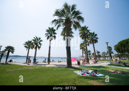 Palm von Bäumen gesäumten Sandstrand, Bandol, Cote d ' Azur, Südfrankreich Stockfoto