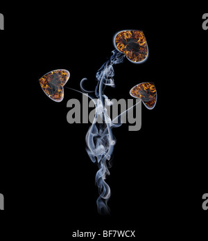 Blume in Form von Herzen von Rauch und Feuer. Eine Collage aus Fragmenten von Rauch auf schwarzem Hintergrund Stockfoto