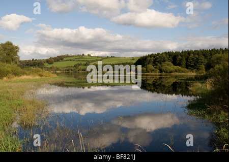 Blessington See und die Berge in Wicklow an einem sonnigen Tag Stockfoto