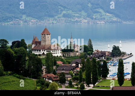 Burg in der Stadt von Spiez am Thuner See. Thunersee Schweiz Stockfoto