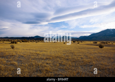 Massive linsenförmige Wolken bilden in der kalifornischen Sierra Nevada Bergkette und Osten in die Wüste von Mono County zu bewegen. Stockfoto