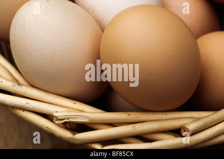 Reinactment des mittelalterlichen Lebens Stockfoto