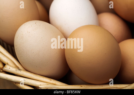 Reinactment des mittelalterlichen Lebens Stockfoto