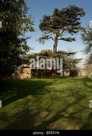 Anzeigen von Acton Burnell Schloss in Shrewsbury. Eine alte befestigte Herrenhaus im Dorf Acton Burnell. Stockfoto