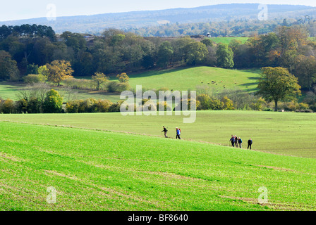 Gruppe von älteren Wanderer in Surrey Hills Stockfoto