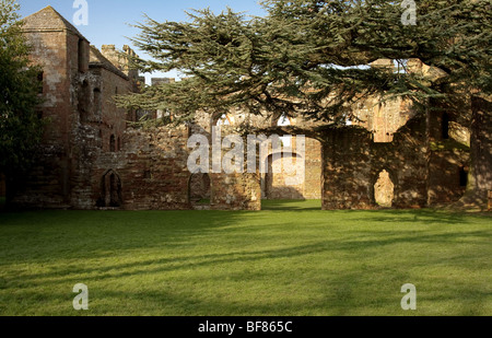 Anzeigen von Acton Burnell Schloss in Shrewsbury. Eine alte befestigte Herrenhaus im Dorf Acton Burnell. Stockfoto