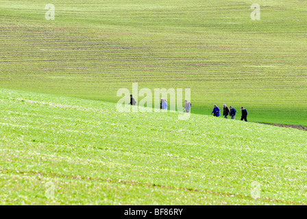 Gruppe von älteren Wanderer in Surrey Hills Stockfoto