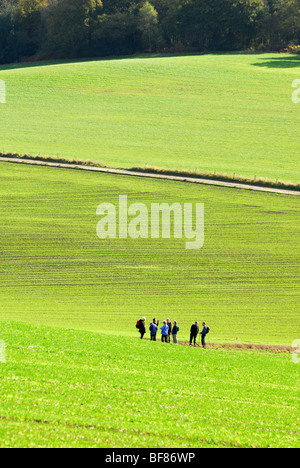 Gruppe von älteren Wanderer in Surrey Hills Stockfoto