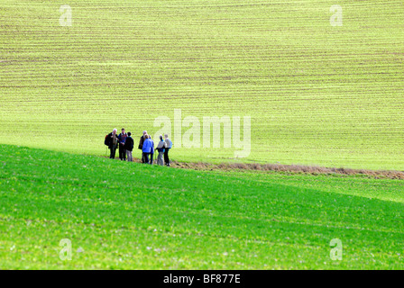 Gruppe von älteren Wanderer in Surrey Hills Stockfoto