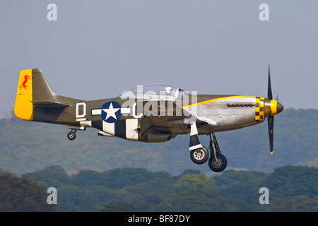 North American P51 Mustang Flugzeug landet auf dem Goodwood Flugplatz, Sussex Great Britain, England, Großbritannien 2008 Stockfoto