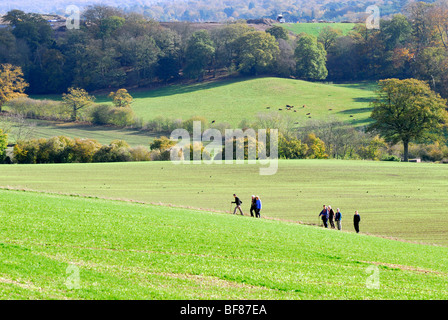 Gruppe von älteren Wanderer in Surrey Hills Stockfoto