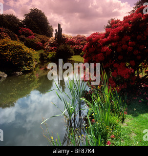 Großbritannien, England, Staffordshire, Biddulph Grange Gärten Sporingtime Rhododendren und Azaeleas am See Stockfoto