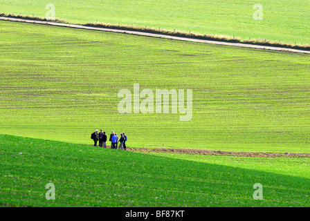 Gruppe von älteren Wanderer in Surrey Hills Stockfoto