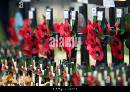 Kreuze und roter Mohn im Feld Erinnerung in der Westminster Abbey im Zentrum von London Stockfoto