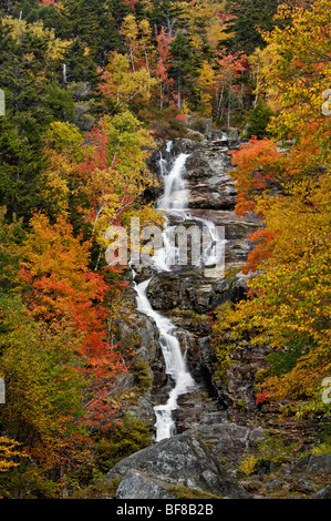 Herbst Farbe in Silber Kaskade in den White Mountains National Forest in New Hampshire Stockfoto