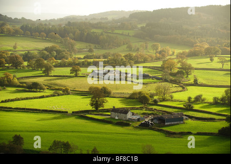 Herbstnachmittag, Ansicht von Farmen und Ackerland in Tywi Tal vom Dinefwr Castle, Llandeilo, wales Carmarthenshire Süd UK Stockfoto