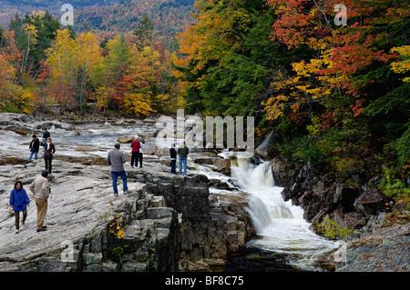 Touristen, die Anzeigen von Herbst Farbe und der Wasserfall am felsigen Schlucht am Fluss Swift in den White Mountains National Forest Stockfoto