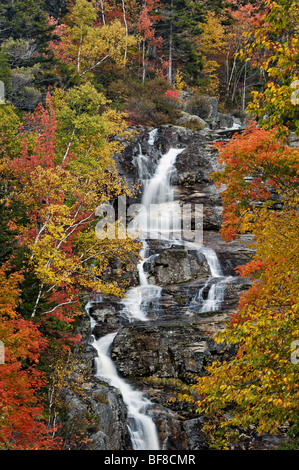 Herbst Farbe in Silber Kaskade in den White Mountains National Forest in New Hampshire Stockfoto