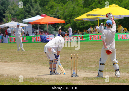 ersten Cricket-Spiel in Skopje, Mazedonien. Sommer 2009 Stockfoto