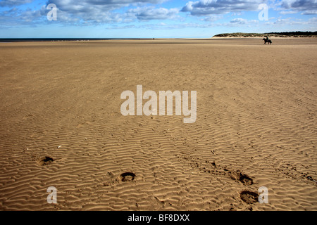 Pferd HUF Drucke und fernen Pferd auf Holkham beach-Norfolk England UK Stockfoto