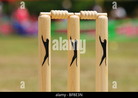 ersten Cricket-Spiel in Skopje, Mazedonien. Sommer 2009 Stockfoto