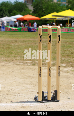 ersten Cricket-Spiel in Skopje, Mazedonien. Sommer 2009 Stockfoto