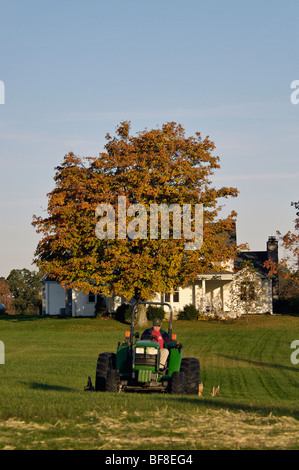 Mann Mähen großen Hof am Landhaus mit John Deere Traktor in Floyd County, Indiana Stockfoto