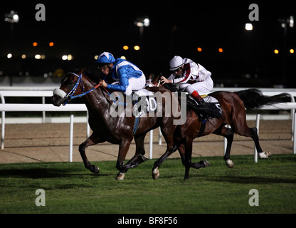 Die beiden führenden Pferde Dash für die Linie im dritten Rennen der fünften Sitzung der Saison 2009 / 10 in die neue Rayyan, Doha Stockfoto