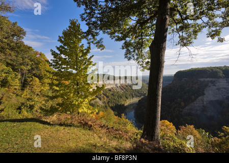 Great Bend, Suche nordöstlich in Letchworth State Park, New York Stockfoto