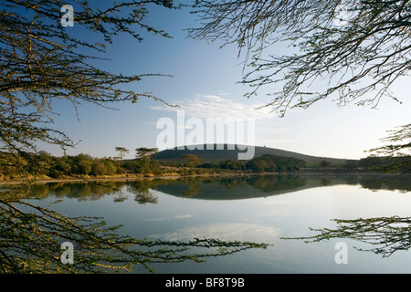 Sangare See durch die Bäume - Sangare Private Ranch, Kenia Stockfoto