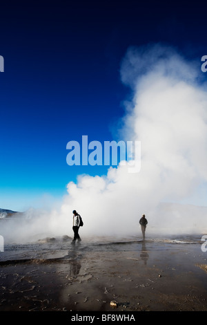 El Tatio Geysirfeld im Norden Chiles. Stockfoto