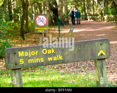 Ein Weg um die Major Oak im Sherwood Forest, Nottinghamshire, England UK Stockfoto