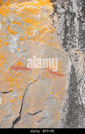 Piktogramme Enscribed auf Agawa Rock im Lake Superior Provincial Park zwischen Sault Ste Marie und Wawa Ontario Kanada Stockfoto