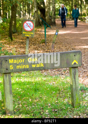 Ein Weg um die Major Oak im Sherwood Forest, Nottinghamshire, England UK Stockfoto