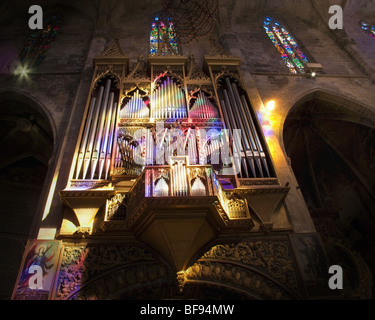 ES - MALLOARCA: La Seu Kathedrale Orgel in Palma De Mallorca Stockfoto