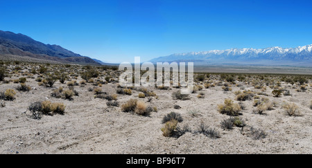 Den östlichen Sierras von Inyo-Berge in der Nähe von Mazourka Canyon - Panorama-Bild von 3 Bildern kombiniert gemacht Stockfoto