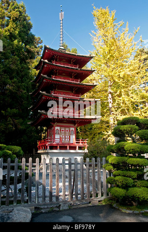 Ein Herbsttag in der Japanese Tea Garden in San Francisco Golden Gate Park, Kalifornien. Stockfoto