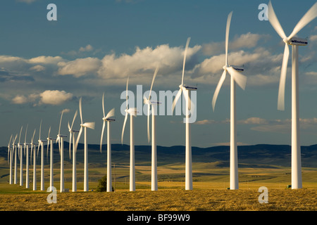 Windkraftanlagen, Pincher Creek, Alberta, Kanada Stockfoto