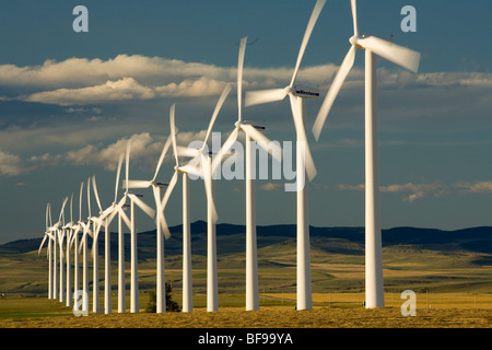 Windkraftanlagen, Pincher Creek, Alberta, Kanada Stockfoto